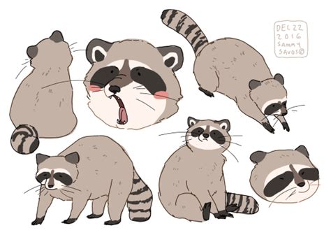 a bunch of raccoons with their mouths open and tongue hanging out to the side