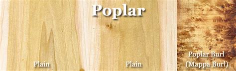 Poplar Lumber – Hearne Hardwoods