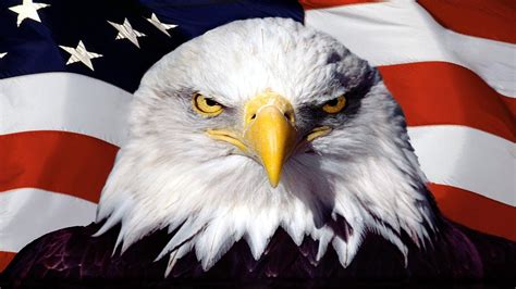 American Flag with Eagle Wallpaper - WallpaperSafari