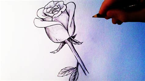 How to Draw a Rose - Easy tutorial