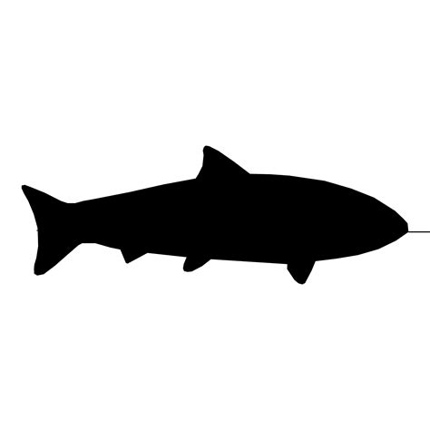 Fish Silhouette Free Stock Photo - Public Domain Pictures