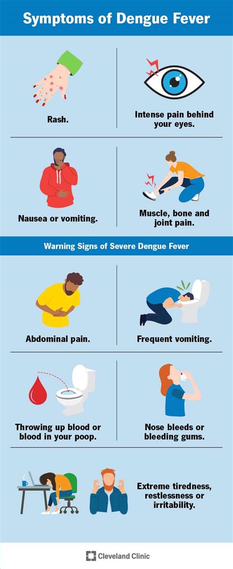 Risk Factors And Precautions For Dengue Fever - Ask The Nurse Expert