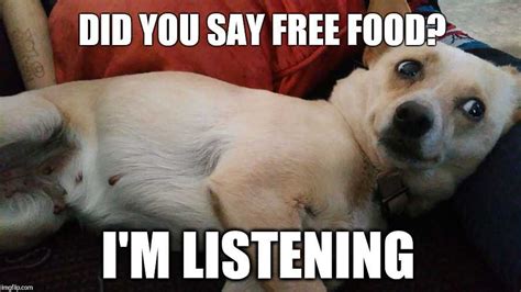 50 Funny Memes For Anyone Who Loves Food, Eating, And Dreaming About Food