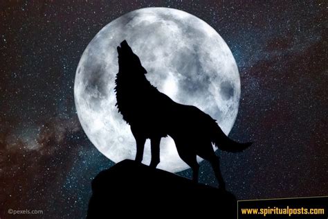 7 Spiritual Meanings of Wolf Howling at the Moon & Symbolism ...