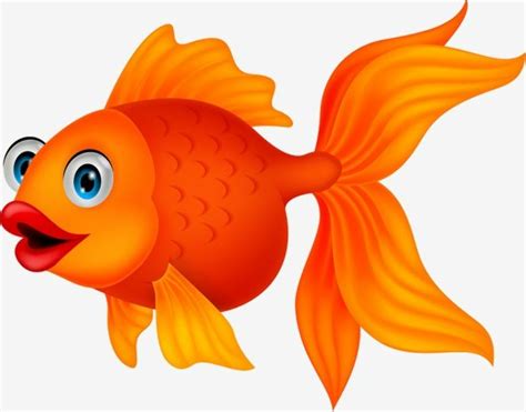 Download High Quality goldfish clipart fish Transparent PNG Images - Art Prim clip arts 2019