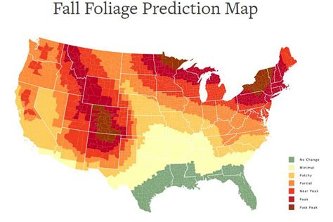 This Fall Foliage Map Will Come in Handy For Leaf Peepers