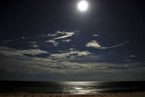 50+ Free Moonlight Beach & Moonlight Images - Pixabay