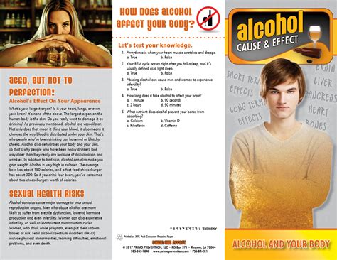 Cause & Effect: Alcohol and Your Body Pamphlet - Primo Prevention