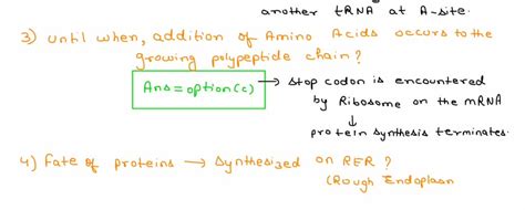 SOLVED: 1. Aminoacyl-tRNA is a key player in the translation process. Which of the following is ...