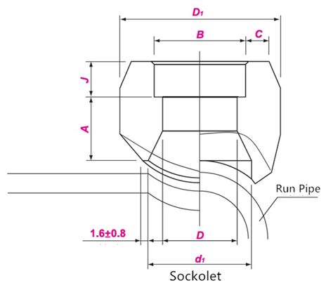 Sockolet Class 3000 | MSS SP 97 Forged Steel Fittings Manufacturer