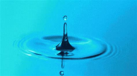 Slow Motion GIF - Slow Motion Waterdrop - Discover & Share GIFs