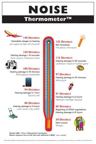 How Noise Causes Hearing Loss and Tinnitus : Natural Treatment for Tinnitus