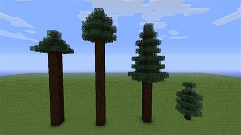 Where is the spruce tree located in Minecraft