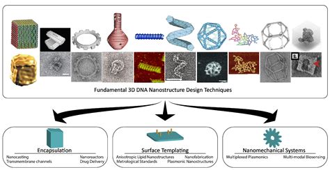 2d 3d dna nanostructures