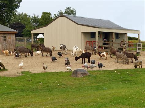 Homestead Animal Farm - Attraction Farms - W320 N9127 Hwy 83, Hartland ...