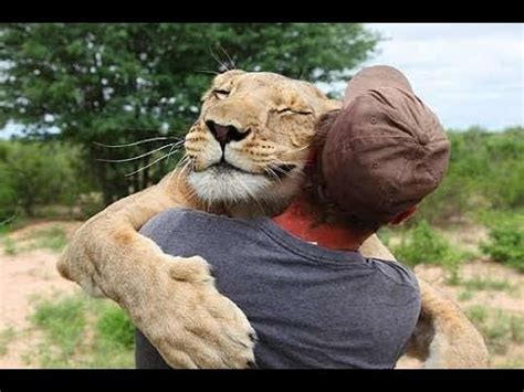 Animals Hugging Humans – Fresh Positivity