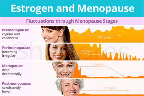 Estrogen and Menopause | SheCares