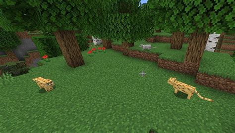 Minecraft Ocelots Wiki - Behavior, Spawn, Breeding, Trivia, FAQs