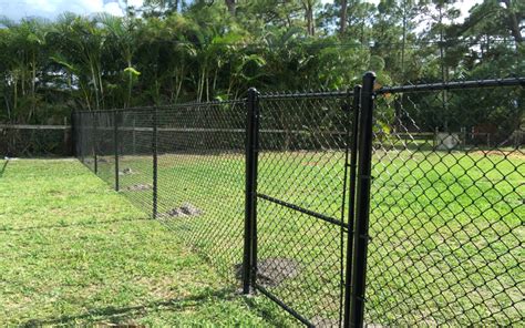 6 ft. Black Vinyl Chain Link Fence with Double Drive & Walk Gate