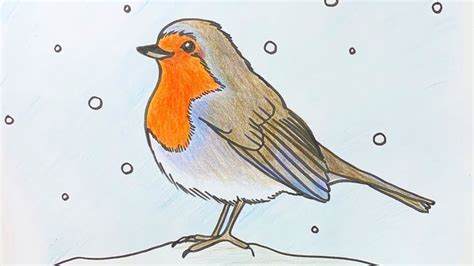 How To Draw A Realistic Robin Bird Step By Step in the year 2023 Learn more here | howtodrawline2