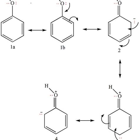 Resonance structures for phenol. | Download Scientific Diagram