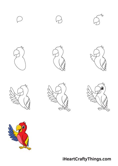 Parrot Drawing For Kids Step By Step