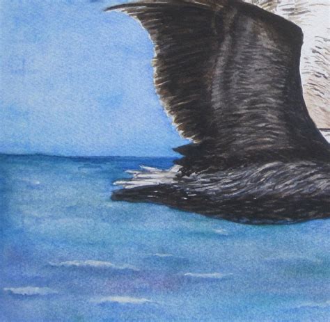 Flying Pelican Watercolor Painting Coastal Decor Anna Maria | Etsy