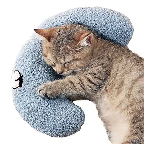 10 Best Cat Biscuit Making Pillows to Pamper Your Feline Friend: A ...