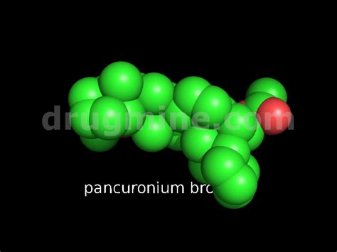 pancuronium-bromide