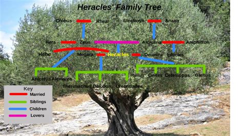 Hercules Family Tree by Danny Honeychurch on Prezi