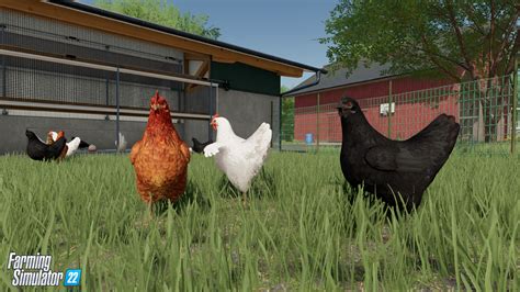 Poręcz FS22 Farm Animals i 10 najważniejszych powodów dla hodowli zwierząt! - FS25 Mody | FS22 Mody