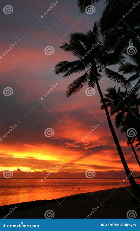 Fiji sunset stock photo. Image of relaxation, tree, idyllic - 3170786