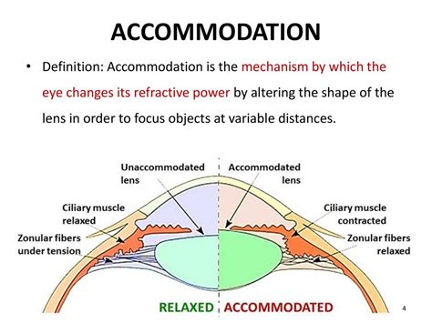 ACCOMMODATION AND CONVERGENCE - ppt download