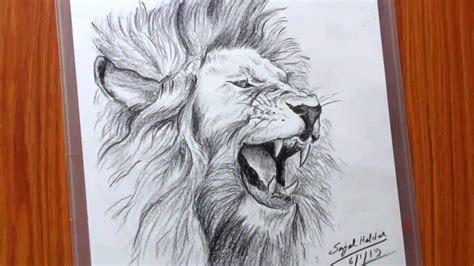 Lion Pencil Drawing Outline