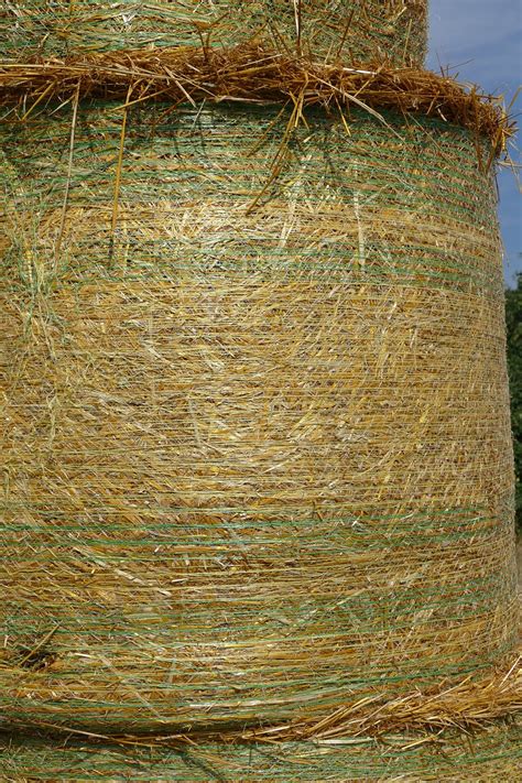 Straw bales,summer,nature,harvest,agriculture - free image from needpix.com