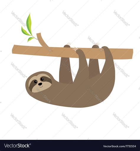 Sloth hanging on tree branch Cute cartoon Vector Image