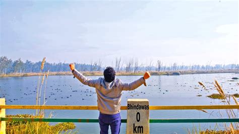 Bhindawas Lake Wildlife Sanctuary - Jhajjar HARYANA Bird Sanctuary ...