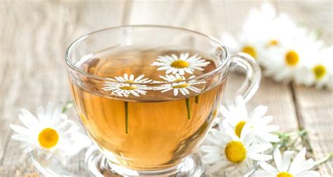 3 Side Effects & 9 Benefits of Drinking Chamomile Tea