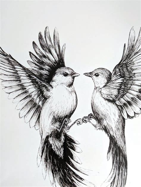 Art Flying Bird Pencil Drawing