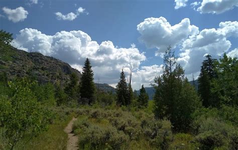 Heading toward Boulder Creek Canyon near the start of Boulder Canyon Trail.