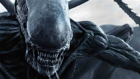 First look at Fede Alvarez's Alien movie is a facehugging delight ...