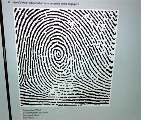 SOLVED: 17. Identify which type of whorl is represented in this ...