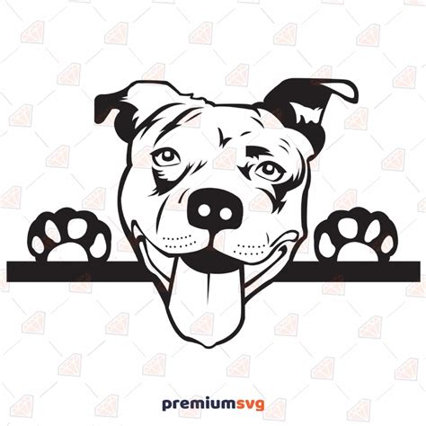 Pitbull Face Svg Pitbull SVG Angry Dog SVG Clipart Cut File Png Cricut Pitbull Dog Svg ...