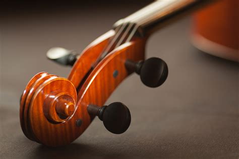 Violoncello - AGM Accademia di musica - Cervignano del Friuli