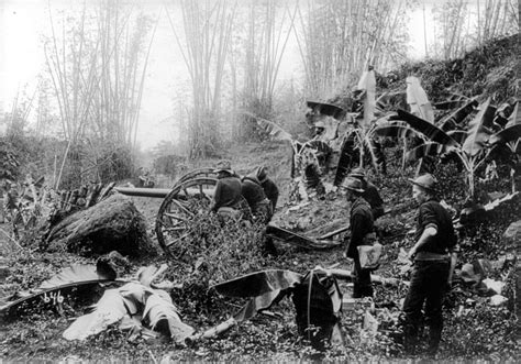 Firearms History and the Technology of Gun Violence – UC Davis Library