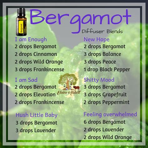 Bergamot Diffuser blends | Essential oil diffuser blends recipes, Essential oil diffuser recipes ...