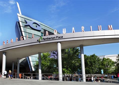 Georgia Aquarium Earns Prestigious AZA Accreditation | Georgia Aquarium