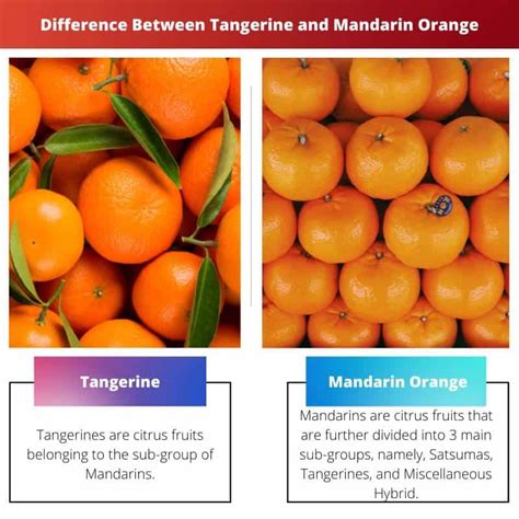 Tangerine vs Mandarin Orange: Difference and Comparison