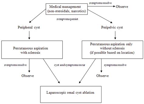 Laparoscopic Renal Cyst Ablation » Department of Urology » College of Medicine » University of ...