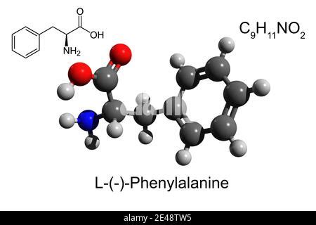 Phenylalanine molecule structure 3d illustration with clipping path Stock Photo - Alamy